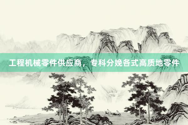 工程机械零件供应商，专科分娩各式高质地零件