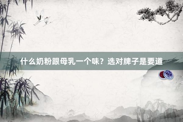 什么奶粉跟母乳一个味？选对牌子是要道